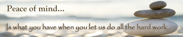 Tampa Web Design - SEO Services